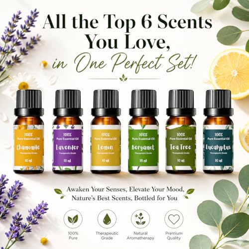 Essential Oils for Laundry, Dryer Balls & Diffusers | 60ml | 6 Pack of the Most Sought-After Scents for Aromatherapy | Lavender, Tea Tree, Eucalyptus, Bergamot, Lemon & Chamomile - color: Top 6 Essential Oil Set