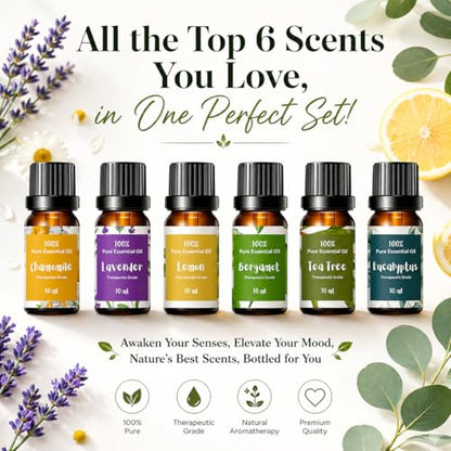 Essential Oils for Laundry, Dryer Balls & Diffusers | 60ml | 6 Pack of the Most Sought-After Scents for Aromatherapy | Lavender, Tea Tree, Eucalyptus, Bergamot, Lemon & Chamomile - color: Top 6 Essential Oil Set