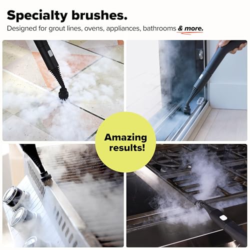 Dupray Small Assorted Brushes - Accessories for Dupray Steam Cleaner