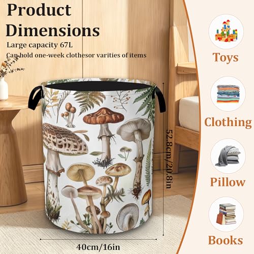 Mushrooms Fall Laundry Basket, Waterproof Foldable Laundry Hamper with Handles, Large Capacity Oxford Cloth Clothes Storage Basket for Bedroom Bathroom Dorm Room - color: Plant Mushrooms