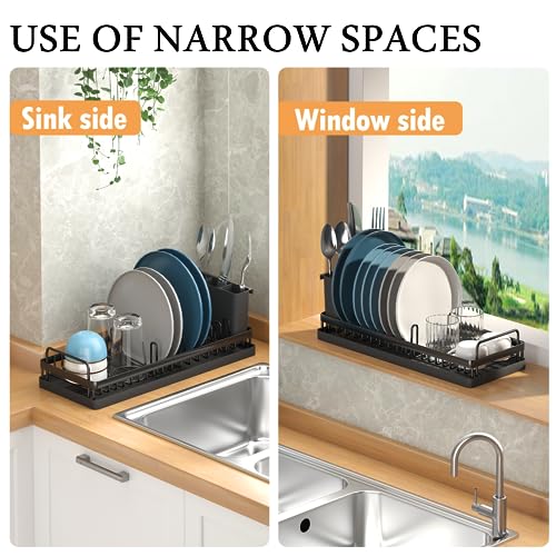 CHLORYARD Small Dish Drying Rack, Compact Sink Dish Drainer Plate Organizer with Utensil Holder and 2pcs Silicone Drying Mats for Kitchen Counter, RVs, Apartments