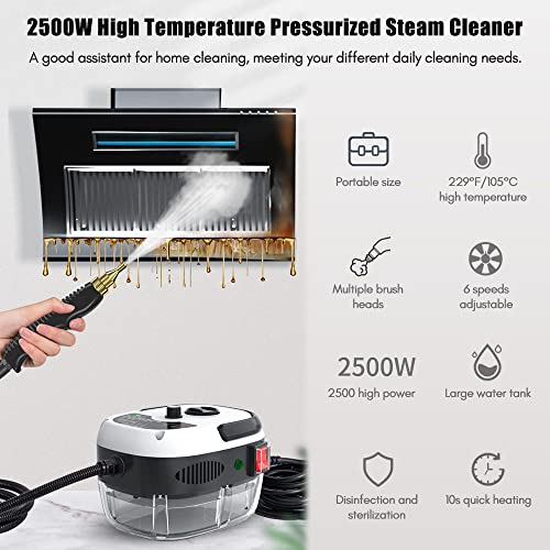 Portable Handheld Steam Cleaner High Temperature Pressurized Steam Cleaning Machine with Brush Heads and Gloves for Kitchen Furniture Bathroom Car - color: White