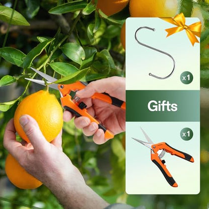 VIVOSUN 6-Layer Mesh Drying Rack Hanging Design with Green Zippers for Dehydrating, Indoor and Outdoor Pruning Shears Included - size: 6 Layer, style: 1 Pack