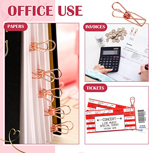 Sabary 100 Pcs Paper Clip Metal Wire Clothespin,Small,Rose Gold - color: Rose Gold, size: Single Size (Small)