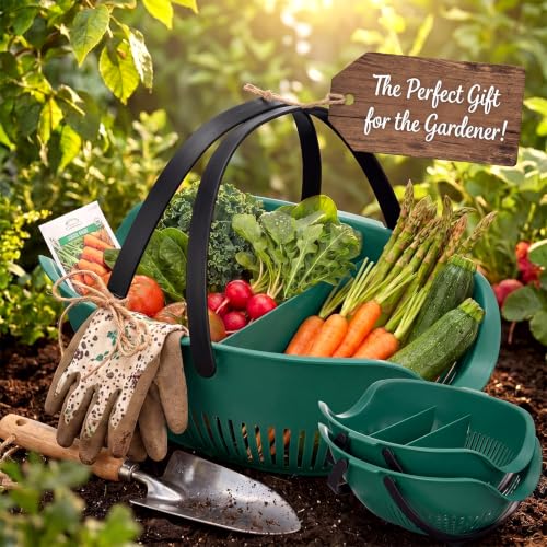 Nuogo 3 Pcs Garden Harvest Basket with Dividers Tool Caddy,Dark Green - color: Dark Green