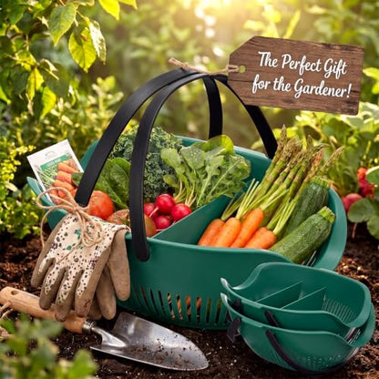 Nuogo 3 Pcs Garden Harvest Basket with Dividers Tool Caddy,Dark Green - color: Dark Green