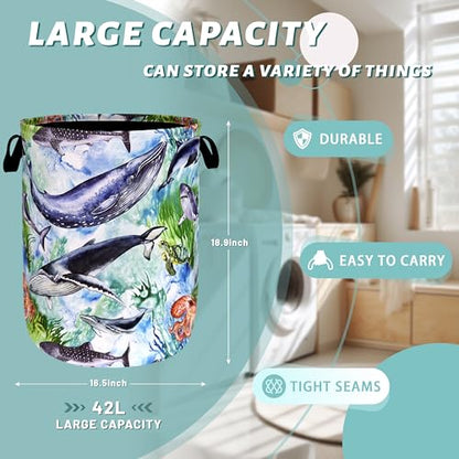 Colorful Whale Laundry Basket Oxford Cloth Foldable Hamper 18.9x16.5 Inch - color: Colorful Whale Ocean Animal