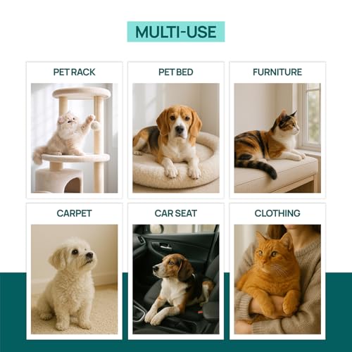 Carpet Rake for Pet Hair Removal, 3-Pack Reusable Dog & Cat Hair Remover Tool Set, Adjustable 56in Long Handle Carpet Rake + Mini Lint Brushes for Rugs, Couches, Floor Mats, Stairs, Car Seats