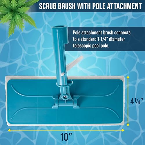 U.S. Pool Supply Hand-Held & Pool Pole Attachment Scrub Brushes, Scrubbing - size: 4x11