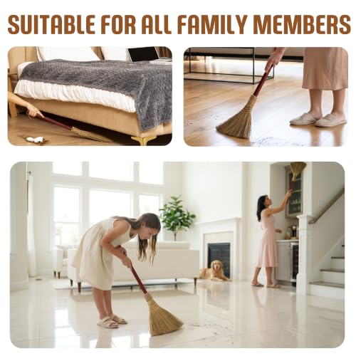 Vietnam Handmade Straw Whisk Broom with Brown Wooden Handle - Soft Natural Grass Broom for Home, Kitchen, Bedroom & Garage, 12.2" Wide x 27.95" Long - style: Brown