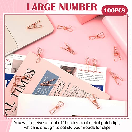 Sabary 100 Pcs Paper Clip Metal Wire Clothespin,Small,Rose Gold - color: Rose Gold, size: Single Size (Small)
