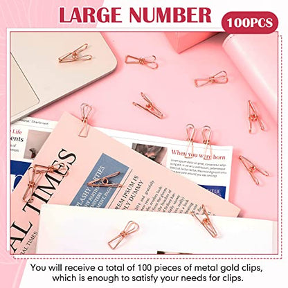 Sabary 100 Pcs Paper Clip Metal Wire Clothespin,Small,Rose Gold - color: Rose Gold, size: Single Size (Small)