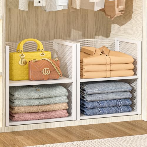 2-Tier Stackable Closet Organizers and Storage Basket, Wire Clothes Shelf Organizer Bins, Sweater Storage for Wardrobe Cupboard, Multifunctional Cube Storage Box for Kitchen Bath Laundry Room, White - size: 2-Tier
