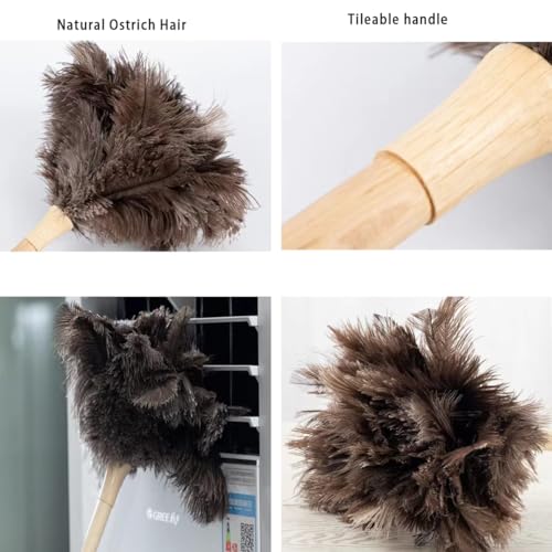 YF-ANEN Dust Artifact Ostrich Feather Duster, Natural Ostrich Feather with Wooden Handle and Eco-Friendly Reusable Duster Cleaning Supplies, Brown