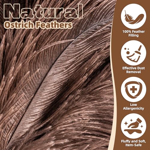 2 Pack Ostrich Feather Dusters for Cleaning with Wooden Handle, 13.5 inch - color: 13.5in-brown