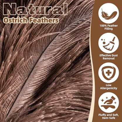 2 Pack Ostrich Feather Dusters for Cleaning with Wooden Handle, 13.5 inch - color: 13.5in-brown