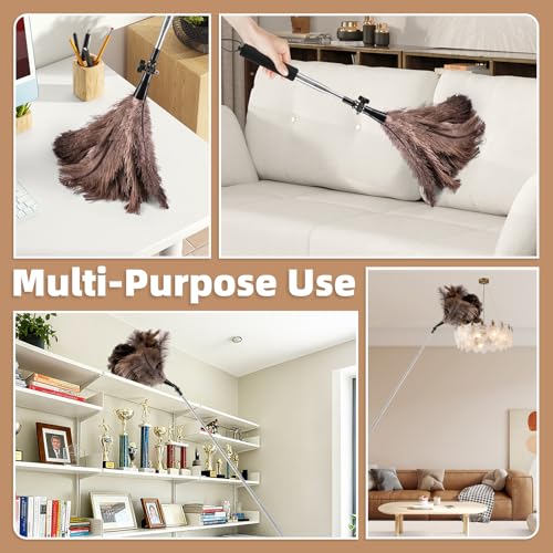 Extendable Ostrich Feather Duster for Cleaning with 49 inch Rotatable Pole - color: 49in-brown