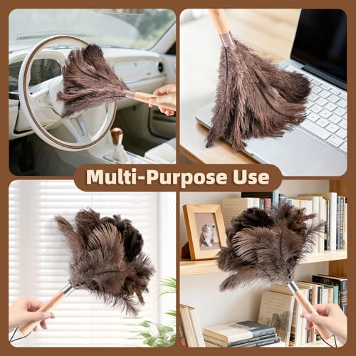 2 Pack Ostrich Feather Dusters for Cleaning with Wooden Handle, 13.5 inch - color: 13.5in-brown