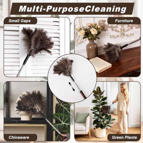 Extendable Ostrich Feather Duster 26-55 Inch, Natural Cleaning Duster with Sponge Grip and Stainless Steel Extension Pole Reusable for High Ceilings, Fans, Blinds, Furniture, Interior & Roof Dusting. - size: 21-55 Inch