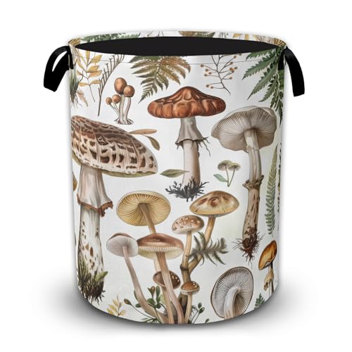 Mushrooms Fall Laundry Basket, Waterproof Foldable Laundry Hamper with Handles, Large Capacity Oxford Cloth Clothes Storage Basket for Bedroom Bathroom Dorm Room - color: Plant Mushrooms
