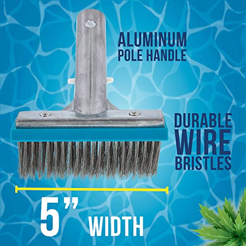 U.S. Pool Supply 5" Pool Brush Head for Inground Pools, Stainless Steel - size: 5"