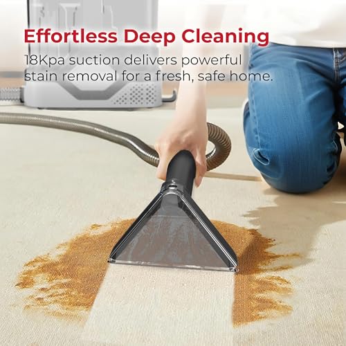Rosewill Multi-Purpose Portable Carpet and Upholstery Cleaner, Powerful Suction 18 KPa Spot Cleaner, 600W Motor, Car and Auto Detailer, Stain/Spot Remover; Versatile Use: Carpet, Sofa, Pet Hair - color: Black