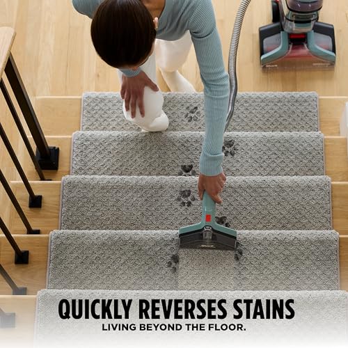 Shark CarpetXpert Upright Carpet & Built-in Stain Cleaner, 3 Tools, EX151 - style: CarpetXpert + Spot & Stain