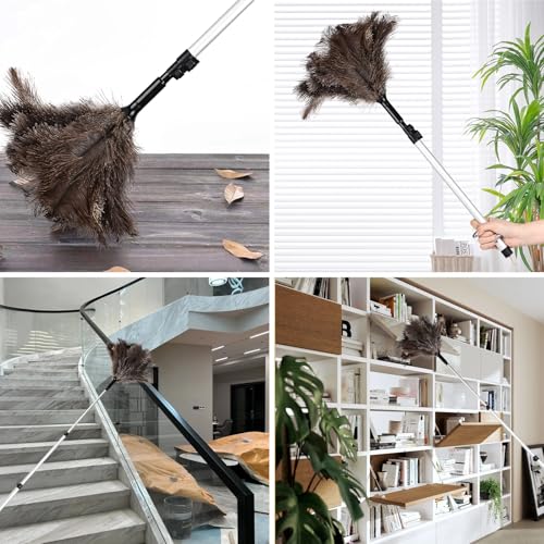 Extendable Ostrich Feather Duster 26-49 Inch, Natural Cleaning Duster with Aluminum Extension Pole Reusable for High Ceilings, Fans, Blinds, Furniture, Interior & Roof Dusting - size: 26-49 Inch