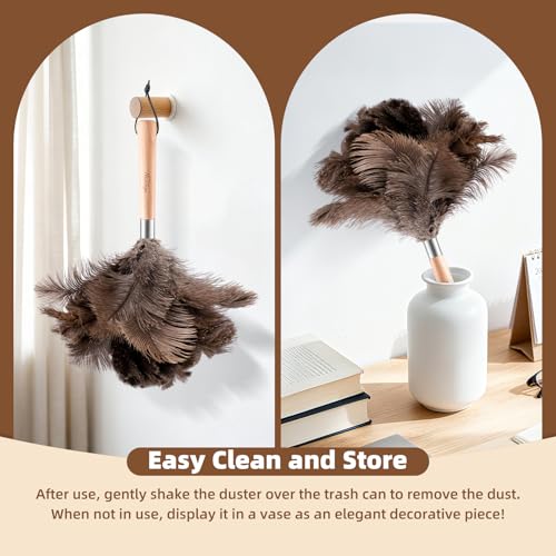 2 Pack Ostrich Feather Dusters for Cleaning with Wooden Handle, 13.5 inch - color: 13.5in-brown