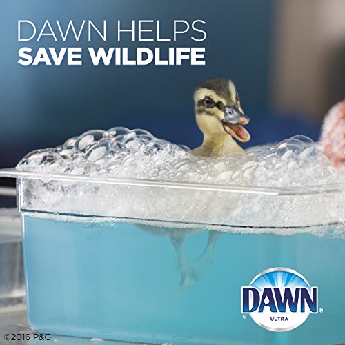 Dawn Ultra Dishwashing Liquid Dish Soap Original Scent, Two 21.6 oz Bottles - size: 21.6 Fl Oz (Pack of 2)