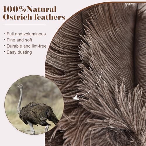 Natural Ostrich Feather Duster 14.9 inch Fluffy Mini Dusters - color: Natural-a-2pcs