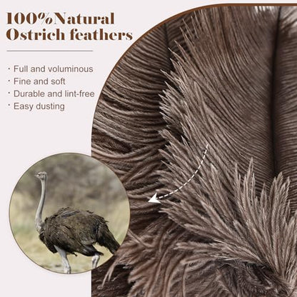 Natural Ostrich Feather Duster 14.9 inch Fluffy Mini Dusters - color: Natural-a-2pcs