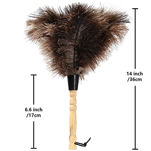 Ostrich Feather Duster 14 inch Feather Duster Fluffy Natural Genuine Ostrich Feathers with Wooden Handle and Eco-Friendly Reusable Handheld Ostrich Feather Duster for Cleaning Supplies - color: Model-14“-brown-1 Pieces