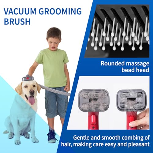 2-in-1 Pet Grooming Kit Compatible with Dyson V7 V8 V10 V11 V15 Cleaner - color: Pet Grooming Kit Suitable for Large Breed Dog or Cat