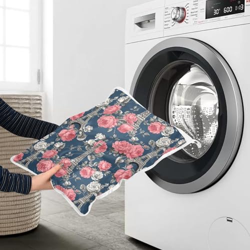 Mesh Laundry Bags Lingerie Bags for Washing Delicates 2 PCS Durable Wash Bag with Zipper Small and Medium Washable Blue French Eiffel Tower and Roses - color: Blue French Eiffel Tower and Roses