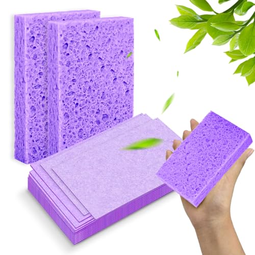12 - Pack Non-Scratch Scrub Sponges - Sponges for Dishes and Washing Dishes, Cleaning Sponges for Kitchen Home Bathroom Cars, Funny Cut-Outs DIY for Kids (Purple - color: Purple, size: 12 - Pack