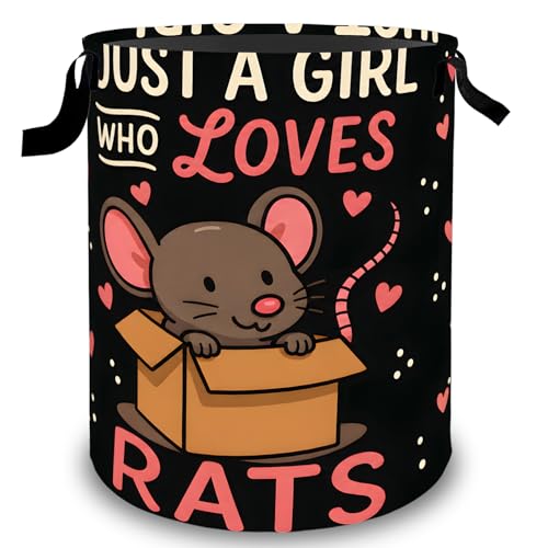 Cute Mouse Laundry Basket Hamper, Organizer Bins Gifts for Women Kids, Cartoon Heart Rat Foldable Waterproof Clothes Hamper Handles Storage Bucket for Bedroom Bathroom Room Decor 19.7"x15.7" - color: Mouse