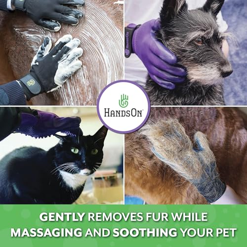 H HANDSON Pet Grooming Gloves - Patented #1 Ranked, Award Winning Shedding, Bathing, & Hair Remover Gloves - Gentle Brush for Cats, Dogs, and Horses (Grey, Small) (Pack of 2) - color: Grey, size: Small (1 Pair) (Pack of 2)