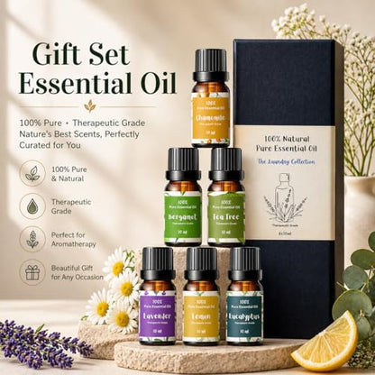 Essential Oils for Laundry, Dryer Balls & Diffusers | 60ml | 6 Pack of the Most Sought-After Scents for Aromatherapy | Lavender, Tea Tree, Eucalyptus, Bergamot, Lemon & Chamomile - color: Top 6 Essential Oil Set