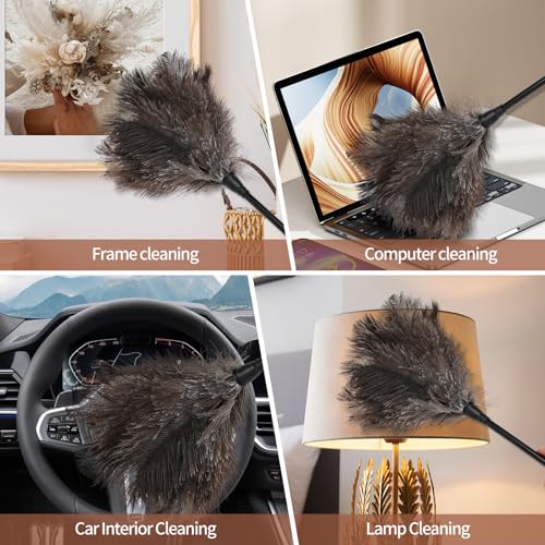 Ostrich Feather Duster-14.9 Inch Mini Natural Feathers Dusters with Plastic Handle Reusable Handheld for Cleaning Supplies Home Car Office(6pcs) - color: Natural-14.9in-styleb-6pcs