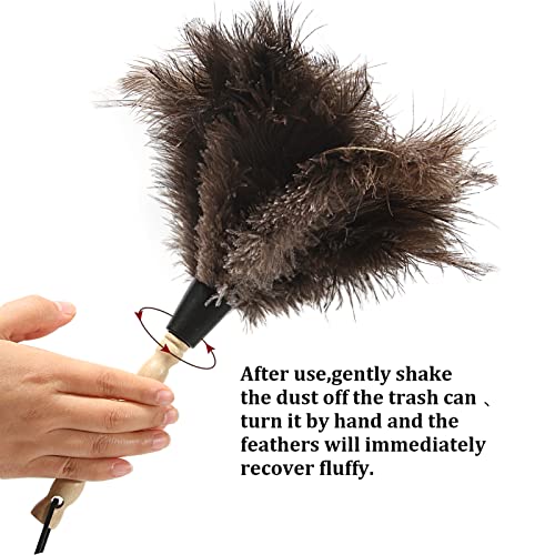 Ostrich Feather Duster 14 inch Fluffy Natural Genuine Ostrich Feathers with Wooden Handle and Eco-Friendly Reusable Handheld Ostrich Feather Duster for Cleaning Supplies(10PCS) - color: Model-14“-brown-10 Pieces