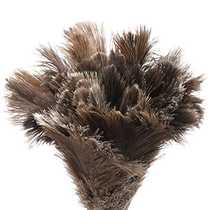 Redecker Ostrich Feather Duster with Varnished Wooden Handle, Small, 13-3/4-Inches - color: Varnished Wooden Handle, Black Feathers, Small, 13-3/4-inches