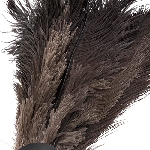 Redecker Ostrich Feather Duster with Varnished Wooden Handle, 19-2/3-Inches, Black - color: Varnished Wooden Handle, Black, 19-2/3-inches