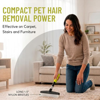 Small Room Groom Carpet Rake, 11" Handle, Portable Carpet Brush for Pet Hair, High Pile Rugs, Stairs, Furniture & Artificial Turf, Compact Groomer Tool - style: Modern