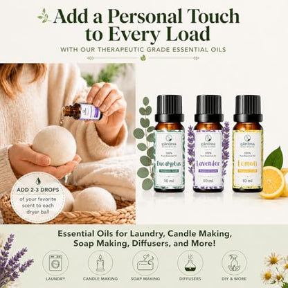 Essential Oils for Laundry, Dryer Balls & Diffusers | 30ml | 3 Pack of the Most Sought-After Scents for Aromatherapy | Lavender, Eucalyptus, Lemon - color: Top 3 Essential Oil Set