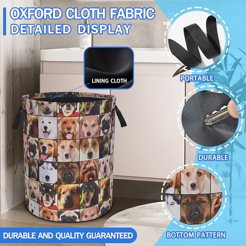 Cute Dog Pet Laundry Basket Foldable Oxford Cloth Hamper 18.9 x 16.5 Inch - color: Cute Dog