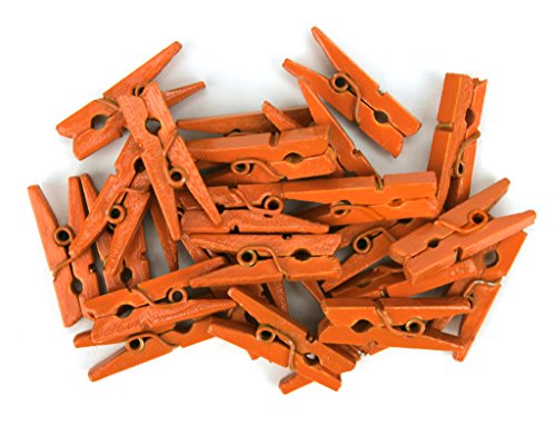 LWR CRAFTS Wooden Mini Clothespins 200 Per Pack 1" 2.5cm (Orange) - color: Orange