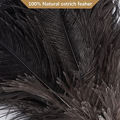 Aldwin Ostrich Feather Dusters for Cleaning, 16 inch Black - color: Black
