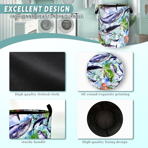 Colorful Whale Laundry Basket Oxford Cloth Foldable Hamper 18.9x16.5 Inch - color: Colorful Whale Ocean Animal