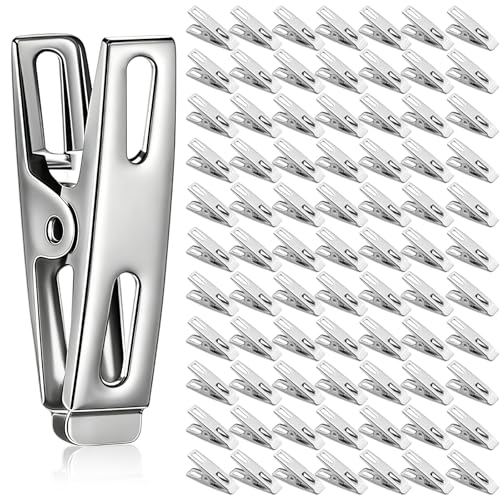 Leifide 300 Pcs Heavy Duty Stainless Steel Clothespins Metal, Silver